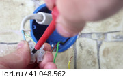 Dismantling wall socket, electrician unscrews mounting screws that hold wire in terminal. Стоковое видео, видеограф Владимир Григорьев / Фотобанк Лори