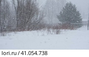 Heavy snowfall. Beautiful forest landscape of snow and blurred trees. Gently falling snow flakes. Bad snowy weather cold day. Winter nature background. Nobody, No People, Super Slow motion. Snowstorm. Стоковое видео, видеограф Марина Демидюк / Фотобанк Лори