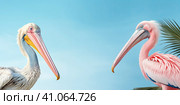 A beautiful white pelican on a blue background. A symbol of mentoring and education. Created by AI. Стоковое AI-изображение, AI-художник Ярославский Максим / Фотобанк Лори