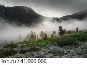 Low clouds in a mountain valley. A rocky hill with cedars in the morning mist. The sun barely peeks out from behind the clouds. Harsh Siberian nature. Western Sayans. Стоковое фото, фотограф Саблин Станислав / Фотобанк Лори