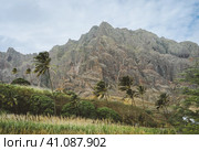 Palm trees in front of arid rocky terrain. Huge barren mountain in background. Santo Antao Island, Cape Verde. Стоковое фото, фотограф Igor Tichonow / Фотобанк Лори