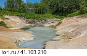 A hot spring in the caldera of an extinct volcano. Bubbles on the surface of the water. Sulphurous deposits on the soil. Lush green vegetation all around. Kamchatka. Uzon. Стоковое фото, фотограф Вера Ивановна Кубарева / Фотобанк Лори