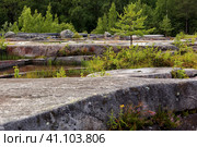 Беломорские петроглифы. Залавруга. Карелия. (2023 год). Редакционное фото, фотограф Роман Рожков / Фотобанк Лори