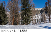 The road, trampled in the snow, descends from the hill. Trees grow on the roadsides. A sagging fence is visible. Mountains against the blue sky. Altai. Стоковое фото, фотограф Вера Ивановна Кубарева / Фотобанк Лори