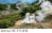 Thick steam billows over the geyser cauldron. Sulphurous deposits are visible on the soil. Green vegetation around. Mountains against the blue sky. Kamchatka. Valley of Geysers. Стоковое фото, фотограф Вера Ивановна Кубарева / Фотобанк Лори