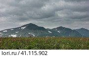 A picturesque mountain range against a cloudy sky. Melted snow on the slopes. Pink Kamchatka rhododendrons are blooming in an alpine meadow, among green grass. Стоковое фото, фотограф Вера Ивановна Кубарева / Фотобанк Лори