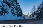 The highway winds between cliffs with steep slopes. Road signs on snow-covered roadsides. Ahead is a mountain illuminated by the sun. Bare trees against the blue sky. Altai. Chuysky trakt. Стоковое фото, фотограф Вера Ивановна Кубарева / Фотобанк Лори