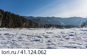 Snow is trampled in the valley. In the distance, steam rises above the ice-free river. Taiga coniferous forest and mountain range against the blue sky. Altai. Стоковое фото, фотограф Вера Ивановна Кубарева / Фотобанк Лори