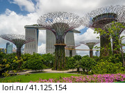 The Supertree Grove in Gardens by the Bay in Singapore (2020 год). Редакционное фото, фотограф Юлия Белоусова / Фотобанк Лори