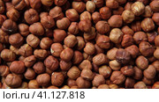 Hazelnuts harvest. Filbert video wallpaper. Full frame of hazel. Cobnut background. Peeled brown nut kernels. Healthy organic bio products. Vegetarian, vegan and raw food. Back to nature. Healthy fat. Стоковое видео, видеограф Марина Демидюк / Фотобанк Лори