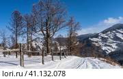 A road trampled in the snow runs along the slope of the mountain. A leaning fence on the side of the road. Bare trees and a mountain range against the blue sky. Altai. Стоковое фото, фотограф Вера Ивановна Кубарева / Фотобанк Лори