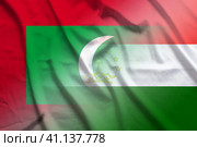 Maldives and Tajikistan government flag international negotiation TJK MDV. Стоковая иллюстрация, иллюстратор Кабак Дмитрий / Фотобанк Лори