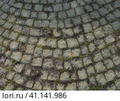 Neatly laid out old paving stones. Pavement on the square of the old town. Square and rectangular stones on the ground, covered with moss and lichens. Стоковое фото, фотограф Юлия Петровская / Фотобанк Лори