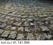 Neatly laid out old paving stones. Pavement on the square of the old town. Square and rectangular stones on the ground, covered with moss and lichens. Стоковое фото, фотограф Юлия Петровская / Фотобанк Лори