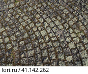 Neatly laid out old paving stones. Pavement on the square of the old town. Square and rectangular stones on the ground, covered with moss and lichens. Стоковое фото, фотограф Юлия Петровская / Фотобанк Лори