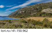 Landscape of Argentine Patagonia. Thickets of trees on the shore of Lapataia Bay, a mountain against the blue sky. Tierra del Fuego National Park. Ushuaia. (2023 год). Стоковое фото, фотограф Вера Ивановна Кубарева / Фотобанк Лори