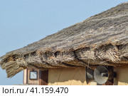 The slope of the roof of reeds and straw. Стоковое фото, фотограф Леонид Еремейчук / Фотобанк Лори