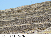 The slope of the roof of reeds and straw. Стоковое фото, фотограф Леонид Еремейчук / Фотобанк Лори