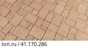 Cobbled street of the old city, lined with square and rectangular stone tiles in a chaotic manner. Soft beige or yellow colors and tones. The texture of the stone. Geometric pattern. Стоковое фото, фотограф Юлия Петровская / Фотобанк Лори