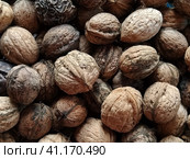 Walnuts close-up. Harvest of nuts. Walnut fruits, rounded large single single-seeded drupes. A healthy diet that includes glycerides of linoleic, oleic, stearic, palmitic and linolenic acids. Стоковое фото, фотограф Юлия Петровская / Фотобанк Лори