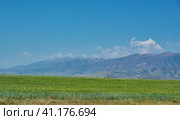 Suusamyr Valley (2023 год). Стоковое фото, фотограф Александр Fanfo / Фотобанк Лори