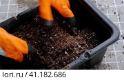 Hands in gloves mix ingredients for the soil of home potted plants, peat, earth, sand, perlite, vermiculite, coconut. A mixture for planting plants in a pot. Layout. Стоковое видео, видеограф Ольга Симонова / Фотобанк Лори