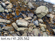 Rocky mountain river in the Carpathians (2008 год). Редакционное фото, фотограф Сергей Бочаров / Фотобанк Лори
