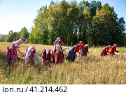 Женщины в русских национальных костюмах во время жатвы на поле ржи. Фольклорный праздник на территории Музея деревянного зодчества и народного искусства «Малые Корелы». Архангельская область, Россия (2023 год). Редакционное фото, фотограф Наталья Волкова / Фотобанк Лори