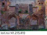 Ruins of Eldena Abbey (Hilda Abbey) - is a former Cistercian monastery near the present town of Greifswald in Mecklenburg-Vorpommern, Germany (2021 год). Стоковое фото, фотограф Sergey Kohl / Фотобанк Лори