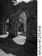 Ruins of Eldena Abbey (Hilda Abbey) - is a former Cistercian monastery near the present town of Greifswald in Mecklenburg-Vorpommern, Germany (2021 год). Стоковое фото, фотограф Sergey Kohl / Фотобанк Лори