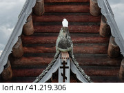 Белый голубь сидит под  куполом храма зимним пасмурным днем. Стоковое фото, фотограф Pukhov K / Фотобанк Лори