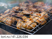Closeup photo of chicken wings in tomato sauce, roasting in the grill rack on charcoal grill in hiking picnic. Selective focus with low grip. Фотография куриных крылышек крупным планом в томатном соусе, обжариваемых на решетке для гриля на углях во время пешего пикника. Выборочная фокусировка. Стоковое фото, фотограф Дмитрий Березнев / Фотобанк Лори