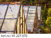 Greenhouses in the botanical garden. Стоковое фото, фотограф Сергей Бочаров / Фотобанк Лори