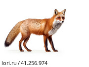 Обыкновенная лисица или рыжая лисица (Vulpes vulpes). Generative AI. Стоковое AI-изображение, AI-художник Щеголева Ольга / Фотобанк Лори