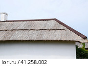 The slope of the roof of reeds and straw. Стоковое фото, фотограф Леонид Еремейчук / Фотобанк Лори