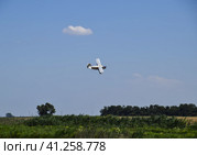The spraying of fertilizers and pesticides on the field with the aircraft. Стоковое фото, фотограф Леонид Еремейчук / Фотобанк Лори