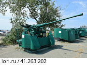Anti-aircraft guns. Museum of weapons. Стоковое фото, фотограф Леонид Еремейчук / Фотобанк Лори