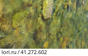 Vertical video of water and stones of Altai river Bashkaus. The camera looks down and moves along the river. Стоковое видео, видеограф Сергей Пристяжнюк (Serg Zastavkin) / Фотобанк Лори