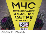 Баннер с предупреждением МЧС о сильном ветре и дожде установлен для посетителей парка Сокольники города Москвы, Россия (2023 год). Редакционное фото, фотограф Николай Винокуров / Фотобанк Лори