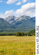 Picturesque mountain landscape with yellowed meadow and a rocky mountain ridge against background of blue sky with clouds on sunny day in early autumn. Eastern Sayan Mountains, Tunka valley, Buryatia. Стоковое фото, фотограф Виктория Катьянова / Фотобанк Лори