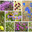 Wild flowers of Olkhon Island, Baikal Lake region and Siberia. Collage of bright summer photos of flowering plants on a sunny July day. Beautiful natural floral background. Стоковое фото, фотограф Виктория Катьянова / Фотобанк Лори