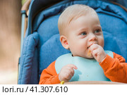 Portrait of a little boy 9 months old in the open air. A happy child in an autumn park is sitting in a stroller. Happy childhood and motherhood. Стоковое фото, фотограф Photojuli / Фотобанк Лори