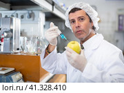 Geneticist working in laboratory, injecting additives into apple during experiments with genetically modified apple. Стоковое фото, фотограф Яков Филимонов / Фотобанк Лори