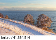Snow-covered trees on coast of Baikal Lake at sunset in December. Path in snow along shore. The Khamar-Daban mountain range is visible on the horizon. Beautiful seascape. Natural background. Стоковое фото, фотограф Виктория Катьянова / Фотобанк Лори