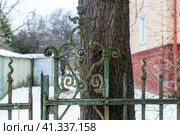 Забор виллы Вормс (2021 год). Стоковое фото, фотограф Валерий Гаврилюк / Фотобанк Лори