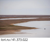 The floodplains of the Gulf of the Sea of Azov in early spring. Стоковое фото, фотограф Александр Кротков / Фотобанк Лори