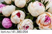 Beautiful cream colored and white peony flowers close up. Peony is a genus of herbaceous perennials and deciduous shrubs, tree-like peony. Peony family Paeoniaceae. Fragrant bouquet. Generated by AI. Стоковое AI-изображение, AI-художник Юлия Петровская / Фотобанк Лори