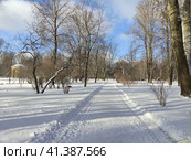 Широкая алея в Екатерингофском парке зимой. Санкт-Петербург (2023 год). Стоковое фото, фотограф Жигалов Евгений Павлович / Фотобанк Лори