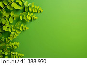 Fresh moringa leaves on green background. Top view with copy space. AI generated. Стоковое AI-изображение, AI-художник Александра Селина / Фотобанк Лори