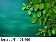 Fresh moringa leaves on blue background. Top view with copy space. AI generated. Стоковое AI-изображение, AI-художник Александра Селина / Фотобанк Лори